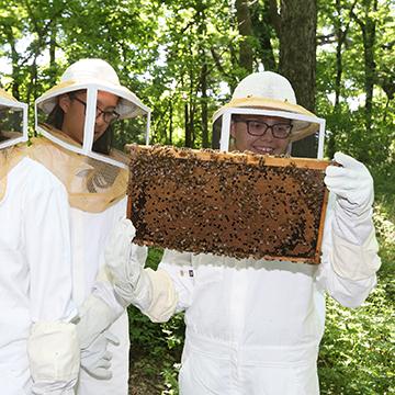 身穿养蜂人制服的学生拿着满是活蜜蜂的蜂巢