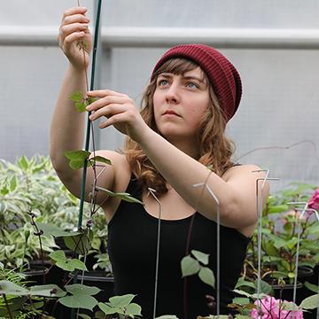 Horticulture student working with a plant in the campus greenhouse.
