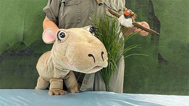 Hannah the Hippo and Ollie puppets
